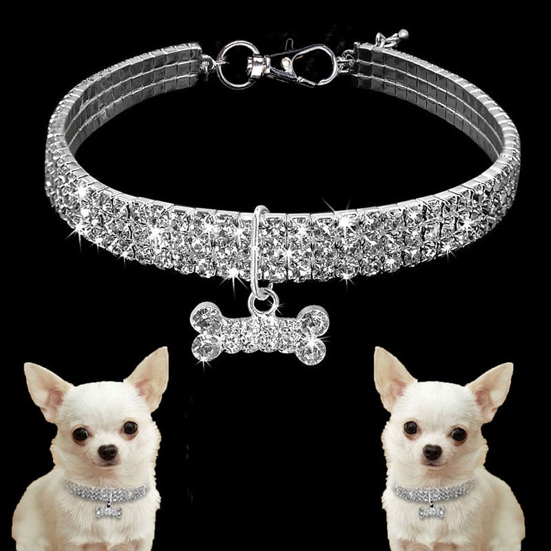 RoyalPup Shine Necklace